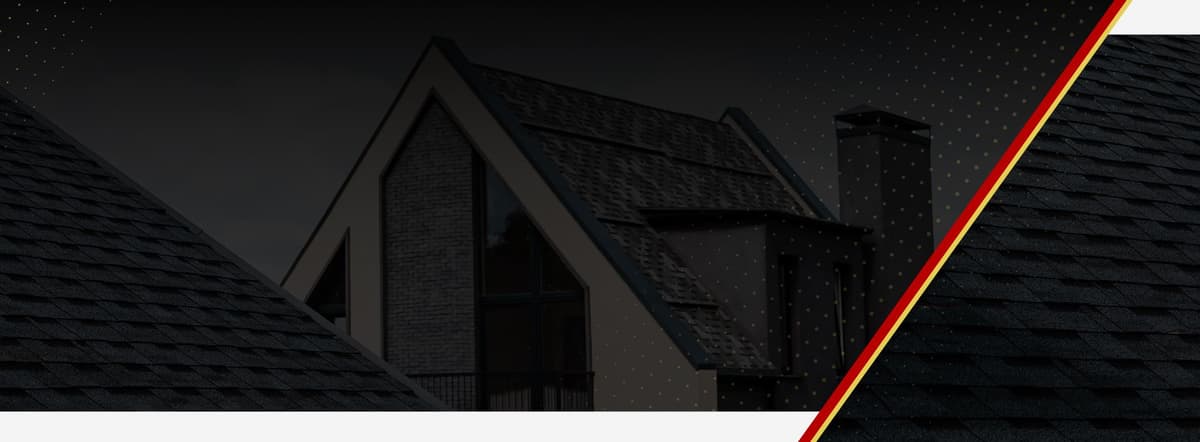 Professional Roofing Services